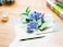 Liif Hydrangea Blossoms Butterfly 3D Greeting Pop Up Mothers Day Card Spring Summer Anniversary Fathers Day Get Well Thinking Of YouWith Message Note EnvelopLarge Size 8x6 Inch