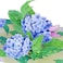 Liif Hydrangea Blossoms Butterfly 3D Greeting Pop Up Mothers Day Card Spring Summer Anniversary Fathers Day Get Well Thinking Of YouWith Message Note EnvelopLarge Size 8x6 Inch
