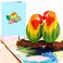 Liif Love Birds 3D Pop Up Anniversary Card for Wife Husband Couple Valentines Day Card