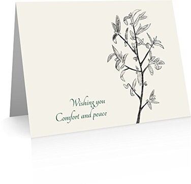 Little Notes by Comptime Peace and Comfort Sympathy Cards 20 Foldover Cards and Envelopes
