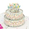 Lovepop Sprinkles Birthday Cake Pop Up Card 3D Colorful Cake Greeting Card for Her Him Kids Friend Birthday 5x7 with Envelope