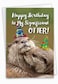 NobleWorks 1 Cute Birthday Card with Envelope Funny Wild Animals and Pets Birthday Greeting Otterly Awesome C6574GBDG