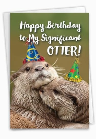 NobleWorks 1 Cute Birthday Card with Envelope Funny Wild Animals and Pets Birthday Greeting Otterly Awesome C6574GBDG