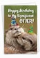 NobleWorks 1 Cute Birthday Card with Envelope Funny Wild Animals and Pets Birthday Greeting Otterly Awesome C6574GBDG
