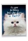 NobleWorks Hilarious Happy Birthday Card with Envelope 85 x 11 Inch Funny Animal Greeting Card From All Of Us Fluffy Kitten J3224BDGUS
