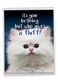NobleWorks Hilarious Happy Birthday Card with Envelope 85 x 11 Inch Funny Animal Greeting Card From All Of Us Fluffy Kitten J3224BDGUS