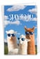 NobleWorks Cool Llamas Congrats Congratulations Card with Envelope Party Animals Cute Animal Congrats Notecard C7188CGG