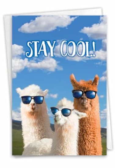 NobleWorks Cool Llamas Congrats Congratulations Card with Envelope Party Animals Cute Animal Congrats Notecard C7188CGG