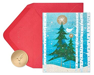 Papyrus Petite Christmas Cards Boxed with Envelopes Peace and Happiness Snowbird 20Count
