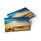 TREE OF Pass It On Scripture Cards Faith John 812 Pack of 25 Inspirational Bible Verse Wallet Cards for Devotional Bible Study Memorization Small Christian Greetings for Encouragement