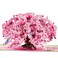 POPWOW Bonsai Cherry Pop Up Cards Blue Bird 3D Greeting Cards Gift for Birthday Mothers Day Anniversary Valentines Day Mom Wife Her Girlfriend 5x7 Includes Envelope And Message Note