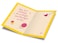 Prime Greetings Birthday Card For Sister Made in America EcoFriendly Thick Card Stock with Premium Envelope 5in x 775in Packaged in Protective Mailer