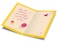 Prime Greetings Birthday Card For Sister Made in America EcoFriendly Thick Card Stock with Premium Envelope 5in x 775in Packaged in Protective Mailer