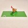 Rykamia Pop Up Card Delightful Chihuahua Illustrations Blank Envelope Thank You Message