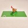 Rykamia Pop Up Card Delightful Chihuahua Illustrations Blank Envelope Thank You Message