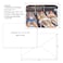 SHADE TREE GREETINGS Funny Womens Birthday Greeting Card 5 x 7 by Actual Pictures 3 Pack 3 Envelopes Lifeguards