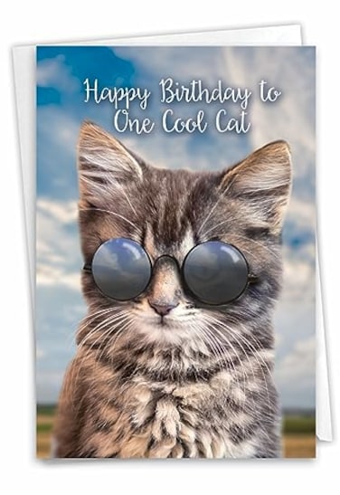 The Best Card Company 1 Cat Birthday Greeting Card with Envelope Cute Kitten Stationery Bday Notecard Kool Kitties C6891EBDG