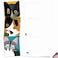 The Best Card Company 10 Adorable Blank Cat Cards 4 x 512 Inch Cute Pet Kittens Assorted Bulk Notecard Set Cubic Cats M6730OCB