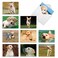 The Best Card Company 10 Adorable Blank Dog Cards 4 x 512 Inch Assorted Labrador Pet Breeds Boxed Set Lovable Labs AM6325OCBB1x10