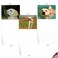 The Best Card Company 10 Adorable Blank Dog Cards 4 x 512 Inch Assorted Labrador Pet Breeds Boxed Set Lovable Labs AM6325OCBB1x10