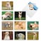 The Best Card Company 10 Adorable Blank Dog Cards 4 x 512 Inch Assorted Labrador Pet Breeds Boxed Set Lovable Labs AM6325OCBB1x10