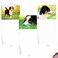 The Best Card Company 10 Adorable Blank Dog Cards 4 x 512 Inch Assorted Pet Breeds Boxed Set Awesome Australian Shepherds AM6830OCBB1x10