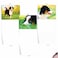 The Best Card Company 10 Adorable Blank Dog Cards 4 x 512 Inch Assorted Pet Breeds Boxed Set Awesome Australian Shepherds AM6830OCBB1x10