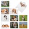 The Best Card Company 10 Adorable Blank Dog Cards 4 x 512 Inch Assorted Pet Breeds Boxed Set Bouncing Beagles AM6296OCBB1x10