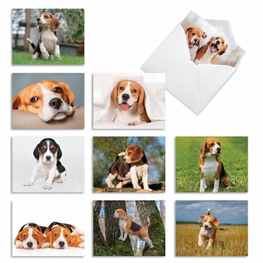 The Best Card Company 10 Adorable Blank Dog Cards 4 x 512 Inch Assorted Pet Breeds Boxed Set Bouncing Beagles AM6296OCBB1x10