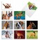 The Best Card Company 10 Adorable Blank Dog Cards 4 x 512 Inch Assorted Pet Breeds Boxed Set thoughtful Boxers AM6295OCBB1x10