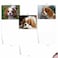 The Best Card Company 10 Adorable Blank Dogs Hound Cards 4 x 512 Inch Assorted Pet Breeds Boxed Set Captivating Cavalier King Charles AM6831OCBB1x10