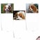 The Best Card Company 10 Adorable Blank Dogs Hound Cards 4 x 512 Inch Assorted Pet Breeds Boxed Set Captivating Cavalier King Charles AM6831OCBB1x10