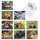 The Best Card Company 10 Adorable Note Cards Blank 4 x 512 Inch Wildlife and Animal Assorted Boxed Set Animal Smackers M6594OCB