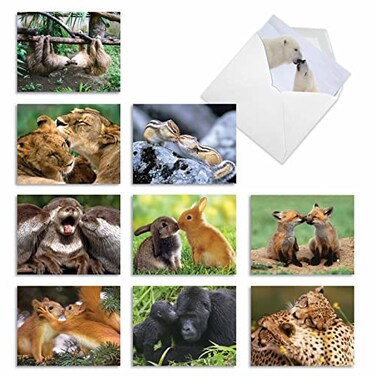 The Best Card Company 10 Adorable Note Cards Blank 4 x 512 Inch Wildlife and Animal Assorted Boxed Set Animal Smackers M6594OCB
