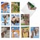 The Best Card Company 10 Adorable Note Cards Blank 4 x 512 Inch Wildlife and Animal Cards Assorted Boxed Set Kissing Giraffes AM6843OCBB1x10