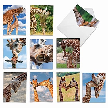 The Best Card Company 10 Adorable Note Cards Blank 4 x 512 Inch Wildlife and Animal Cards Assorted Boxed Set Kissing Giraffes AM6843OCBB1x10