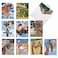 The Best Card Company 10 Adorable Note Cards Blank 4 x 512 Inch Wildlife and Animal Cards Assorted Boxed Set Kissing Giraffes AM6843OCBB1x10