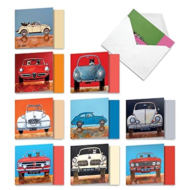 The Best Card Company 10 All Occasion Blank Cat Cards 4 x 512 Inch Cute Assorted Bulk Card Set Car Cats MQ4978OCBB1x10