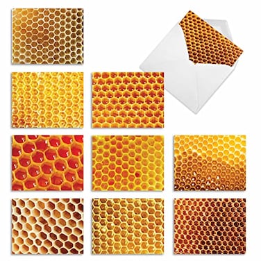 The Best Card Company 10 Assorted Blank Notes Box Set 4 x 512 Inch with Envelopes 10 Designs 1 Each Boxed Assorted Kid Cards of Pets HONEY IM HOME M3060