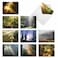 The Best Card Company 10 Assorted Sympathy Cards Boxed 4 x 512 Inch Condolence Bereavement Greetings Shining Through AM1735SMGB1x10