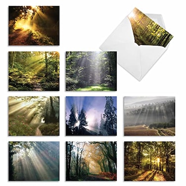 The Best Card Company 10 Assorted Sympathy Cards Boxed 4 x 512 Inch Condolence Bereavement Greetings Shining Through AM1735SMGB1x10