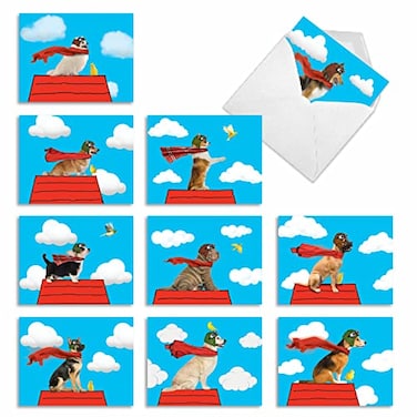 The Best Card Company 10 Blank Dog Cards Assorted 4 x 512 Inch Adorable Boxed Animal Note Cards for All Occasions Comical Canines M2350OCB