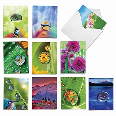 The Best Card Company 10 Blank Note Cards 4 x 512 Inch engaging Pets Zoo Wildlife Cards Assorted Greetings Boxed Waterdrop Beauty AM6111OCBB1x10