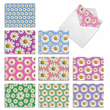 The Best Card Company 10 Blank Note Cards with Flowers 4 x 512 Inch Floral Notecards All Occasion Boxed Assortment Crazy Daisy M6576OCB