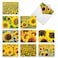 The Best Card Company 10 Blank Note Cards with Flowers 4 x 512 Inch Floral Notecards All Occasion Boxed Assortment Sunny Side Up M6042
