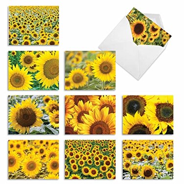 The Best Card Company 10 Blank Note Cards with Flowers 4 x 512 Inch Floral Notecards All Occasion Boxed Assortment Sunny Side Up M6042
