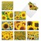 The Best Card Company 10 Blank Note Cards with Flowers 4 x 512 Inch Floral Notecards All Occasion Boxed Assortment Sunny Side Up M6042