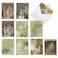 The Best Card Company 10 Bulk All Occasion Note Cards 4 x 512 Inch Blank Assorted Cards Set Nature Plants and Gardens Layered Leaves M2985OCB