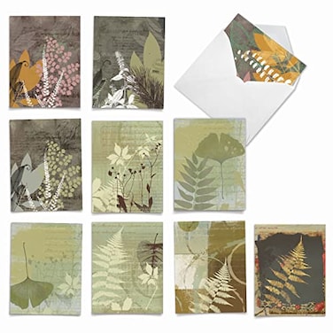 The Best Card Company 10 Bulk All Occasion Note Cards 4 x 512 Inch Blank Assorted Cards Set Nature Plants and Gardens Layered Leaves M2985OCB