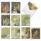 The Best Card Company 10 Bulk All Occasion Note Cards 4 x 512 Inch Blank Assorted Cards Set Nature Plants and Gardens Layered Leaves M2985OCB